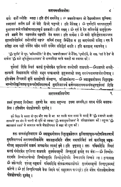 Narayanabali Prayoga